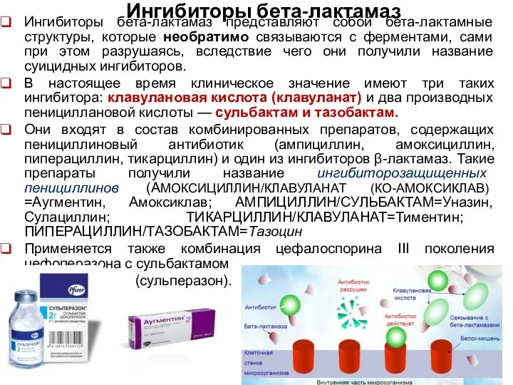 Ингибиторы бета-лактамаз Ингибиторы бета-лактамаз представляют собой бета-лактамные структуры, которые необратимо связываются