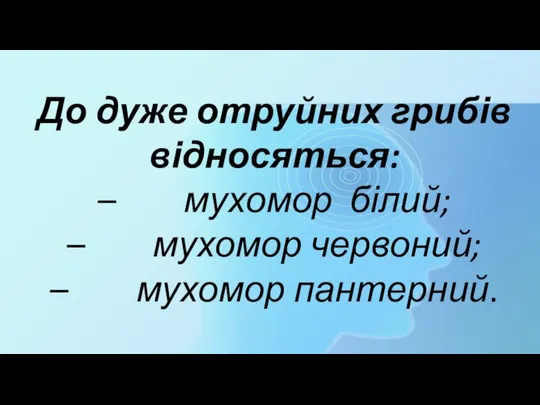 До дуже отруйних грибів відносяться: – мухомор білий; – мухомор червоний; – мухомор пантерний.