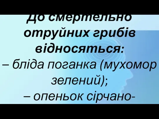 До смертельно отруйних грибів відносяться: – бліда поганка (мухомор зелений); – опеньок сірчано-жовтий;