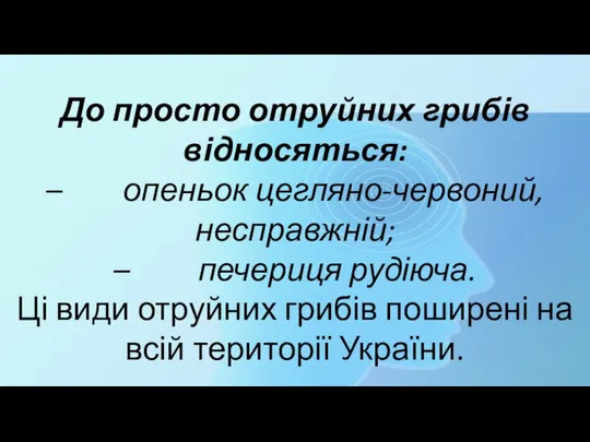 До просто отруйних грибів відносяться: – опеньок цегляно-червоний, несправжній; – печериця