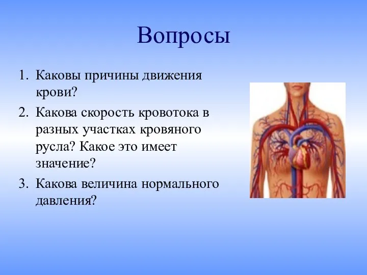 Вопросы Каковы причины движения крови? Какова скорость кровотока в разных участках