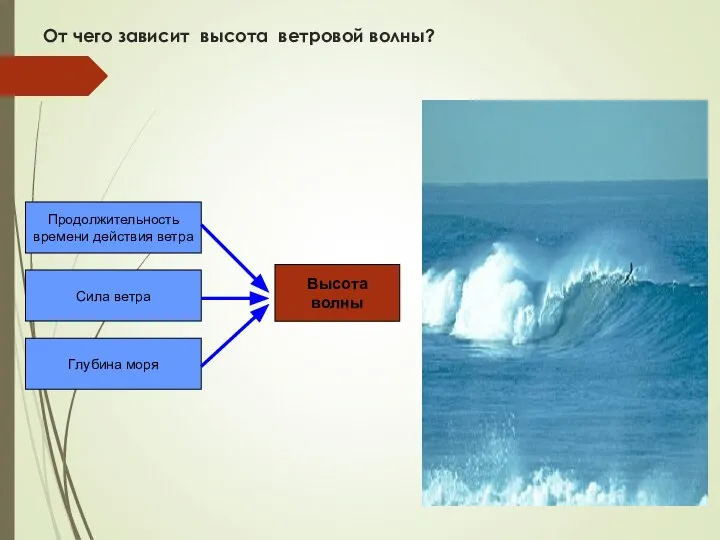 От чего зависит высота ветровой волны? Продолжительность времени действия ветра Сила ветра Глубина моря Высота волны