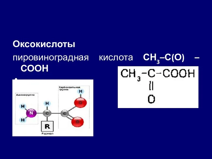 Оксокислоты пировиноградная кислота СН3–С(О) –СООН Аминокислоты