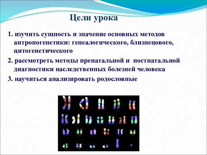 1. изучить сущность и значение основных методов антропогенетики: генеалогического, близнецового, цитогенетического