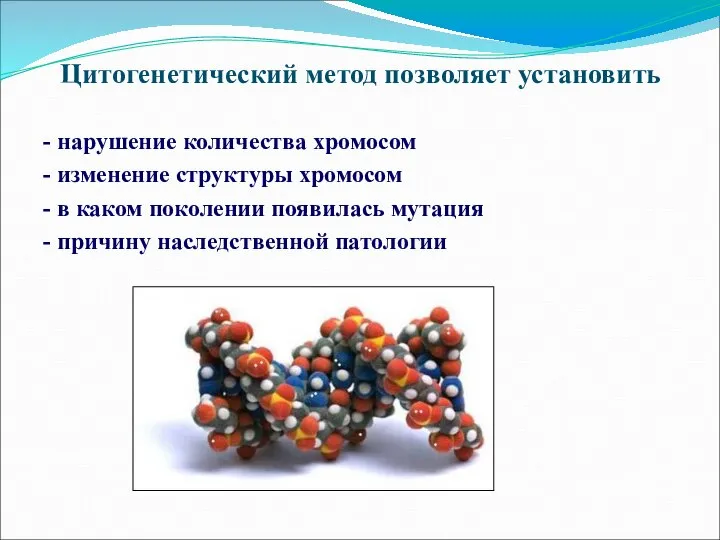 Цитогенетический метод позволяет установить - нарушение количества хромосом - изменение структуры