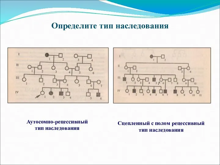 Определите тип наследования Аутосомно-рецессивный тип наследования Сцепленный с полом рецессивный тип наследования