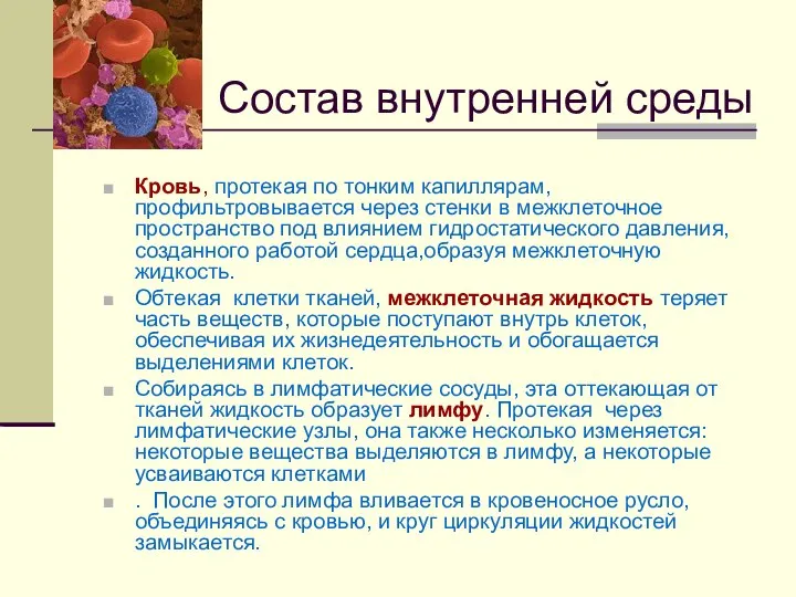 Кровь, протекая по тонким капиллярам, профильтровывается через стенки в межклеточное пространство