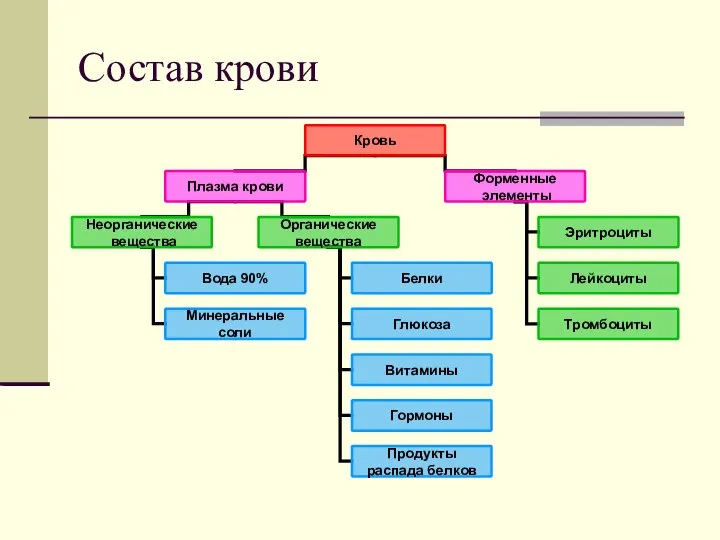 Состав крови