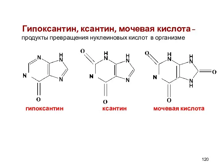 Гипоксантин, ксантин, мочевая кислота – продукты превращения нуклеиновых кислот в организме гипоксантин ксантин мочевая кислота