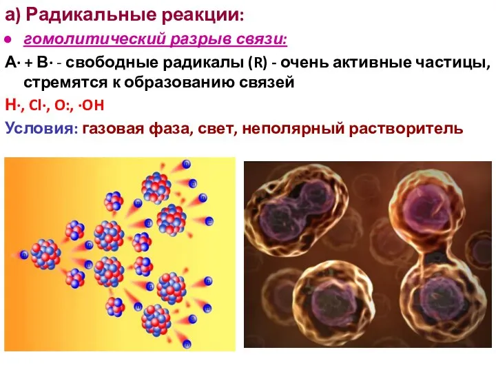 а) Радикальные реакции: гомолитический разрыв связи: А· + В· - свободные