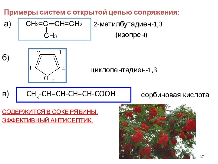 Примеры систем с открытой цепью сопряжения: а) 2-метилбутадиен-1,3 (изопрен) б) циклопентадиен-1,3