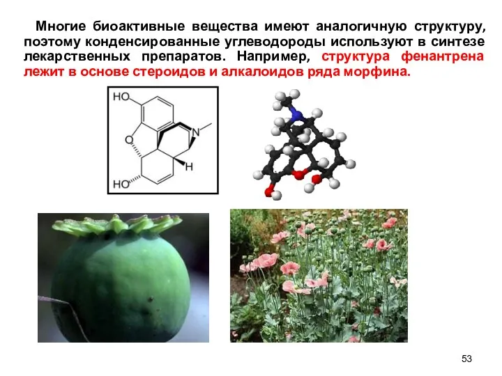 Многие биоактивные вещества имеют аналогичную структуру, поэтому конденсированные углеводороды используют в