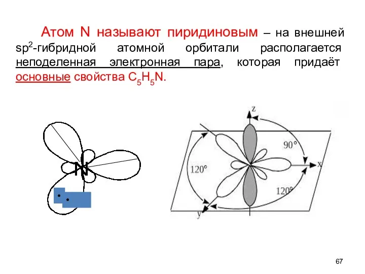 Атом N называют пиридиновым – на внешней sp2-гибридной атомной орбитали располагается