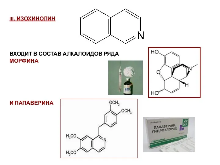 III. ИЗОХИНОЛИН ВХОДИТ В СОСТАВ АЛКАЛОИДОВ РЯДА МОРФИНА И ПАПАВЕРИНА