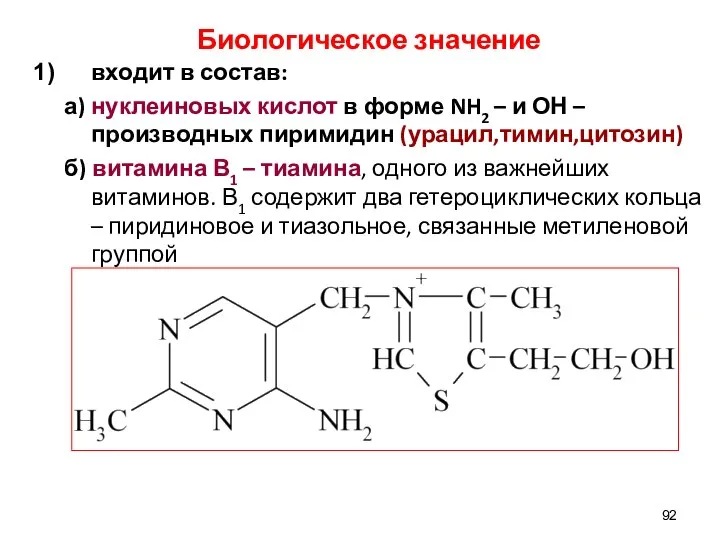 Биологическое значение входит в состав: а) нуклеиновых кислот в форме NH2