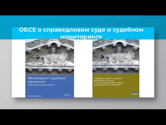 ОБСЕ о справедливом суде и судебном мониторинге