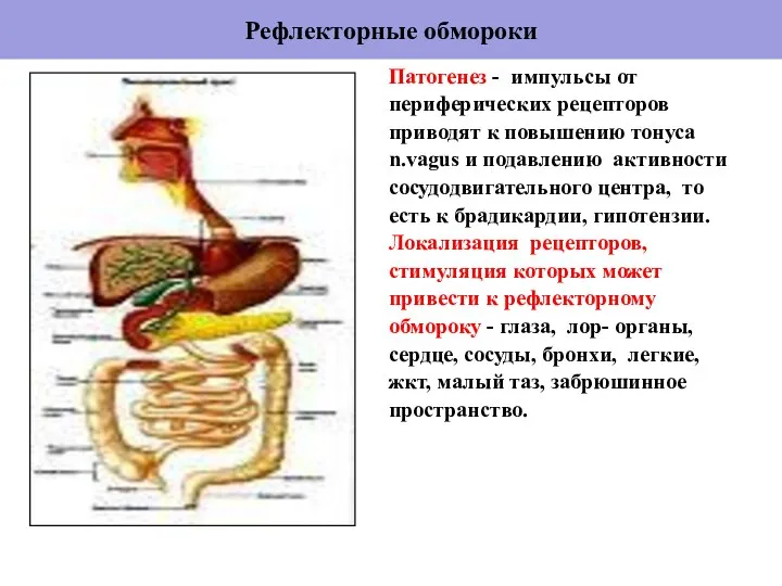 Рефлекторные обмороки Патогенез - импульсы от периферических рецепторов приводят к повышению