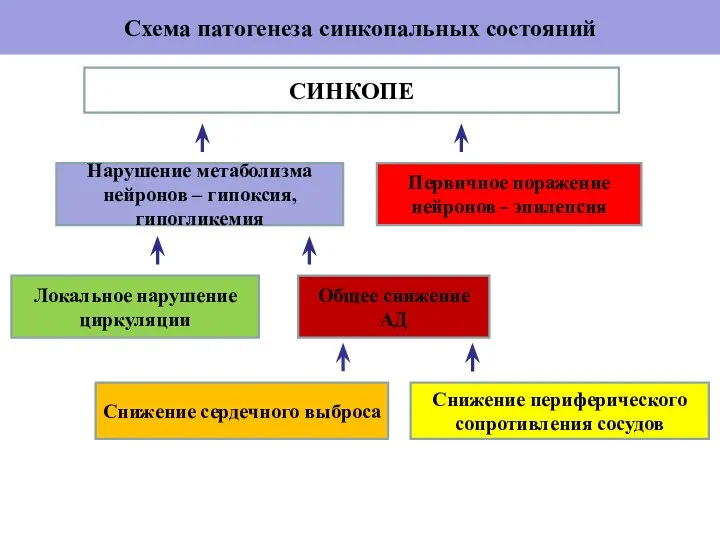 Схема патогенеза синкопальных состояний СИНКОПЕ Нарушение метаболизма нейронов – гипоксия, гипогликемия