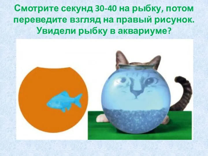 Смотрите секунд 30-40 на рыбку, потом переведите взгляд на правый рисунок. Увидели рыбку в аквариуме?