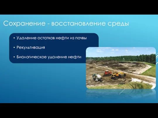 Сохранение - восстановление среды Удаление остатков нефти из почвы Рекультивация Биологическое удаление нефти