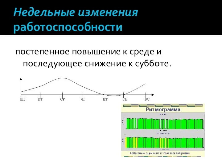 Недельные изменения работоспособности постепенное повышение к среде и последующее снижение к субботе.