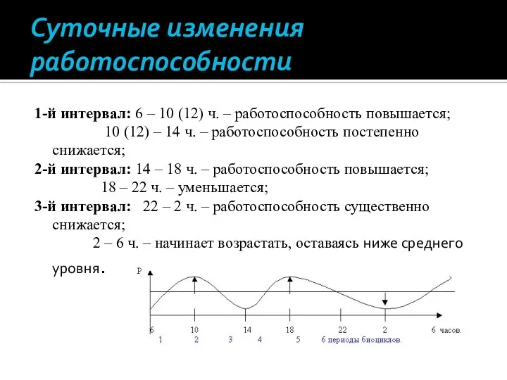 Суточные изменения работоспособности 1-й интервал: 6 – 10 (12) ч. –