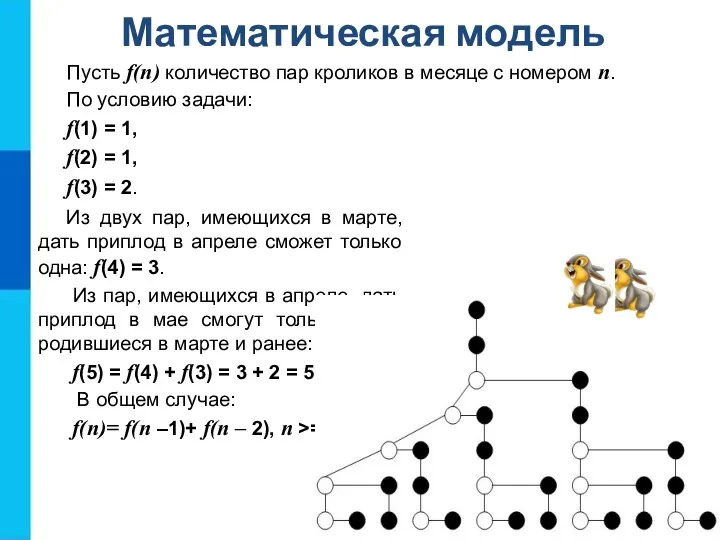 Математическая модель Пусть f(n) количество пар кроликов в месяце с номером