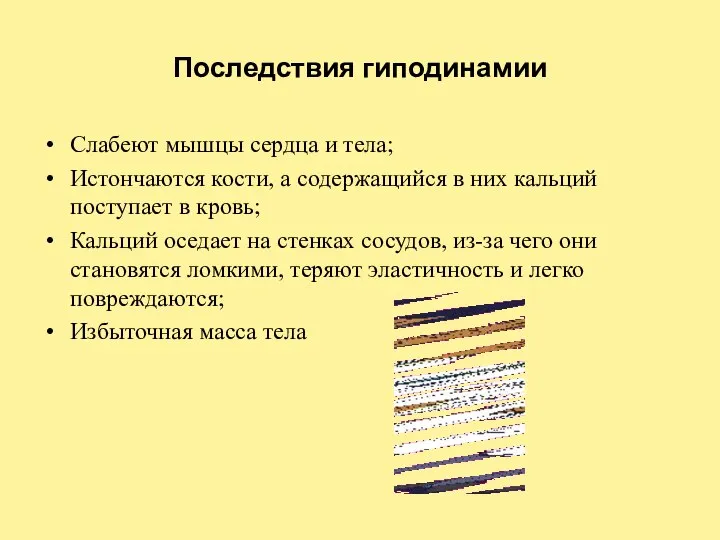 Последствия гиподинамии Слабеют мышцы сердца и тела; Истончаются кости, а содержащийся