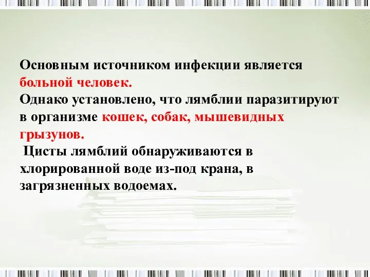 Основным источником инфекции является больной человек. Однако установлено, что лямблии паразитируют