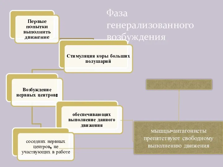 Фаза генерализованного возбуждения мышцы-антагонисты препятствуют свободному выполнению движения