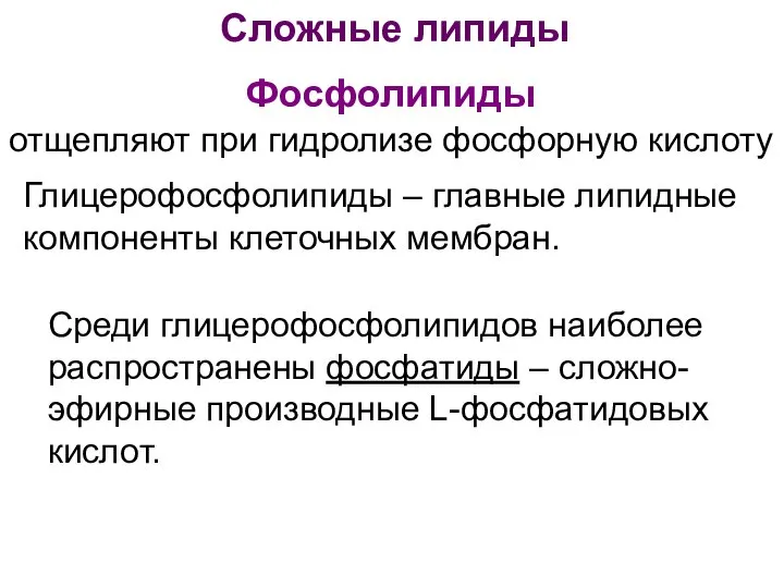 Сложные липиды Фосфолипиды - отщепляют при гидролизе фосфорную кислоту Глицерофосфолипиды –