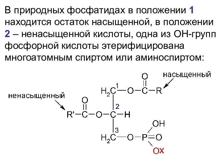 В природных фосфатидах в положении 1 находится остаток насыщенной, в положении