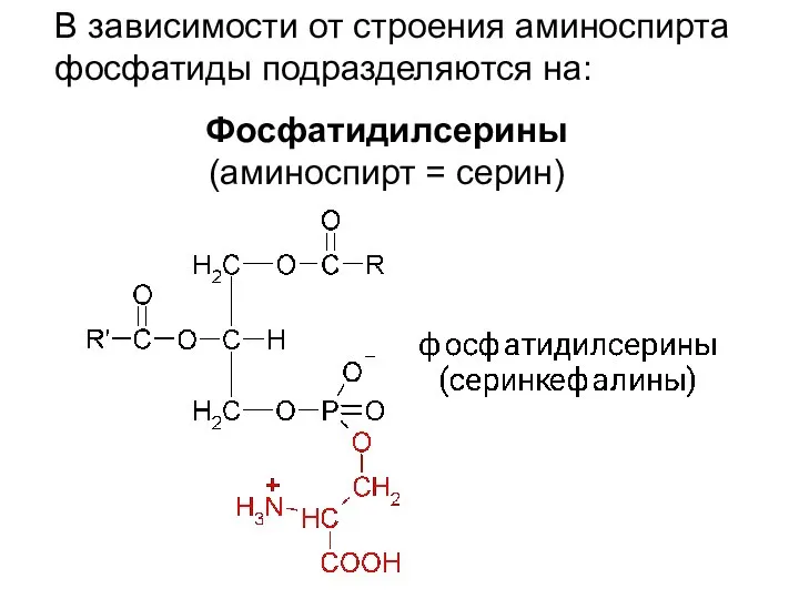 В зависимости от строения аминоспирта фосфатиды подразделяются на: Фосфатидилсерины (аминоспирт = серин)