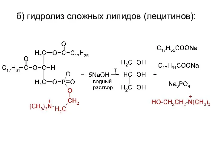 б) гидролиз сложных липидов (лецитинов):