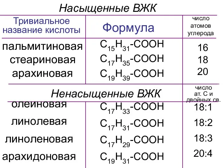 Насыщенные ВЖК пальмитиновая стеариновая арахиновая Тривиальное название кислоты число атомов углерода