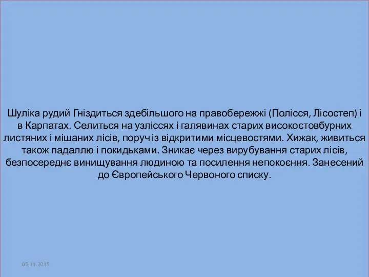 Шуліка рудий Гніздиться здебільшого на правобережжі (Полісся, Лісостеп) і в Карпатах.