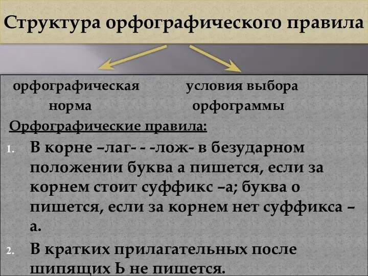 Структура орфографического правила орфографическая условия выбора норма орфограммы Орфографические правила: В