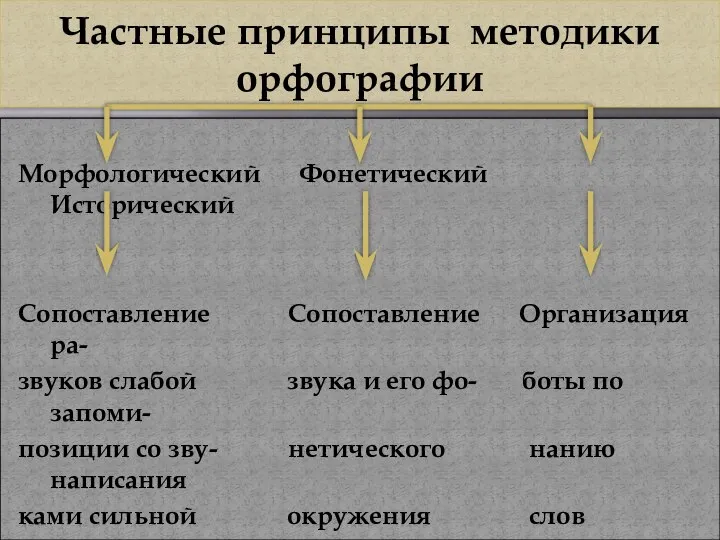 Частные принципы методики орфографии Морфологический Фонетический Исторический Сопоставление Сопоставление Организация ра-