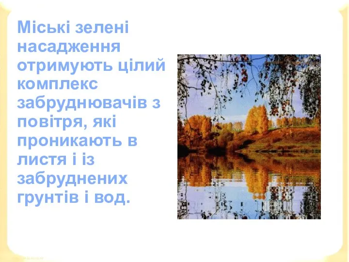 Міські зелені насадження отримують цілий комплекс забруднювачів з повітря, які проникають