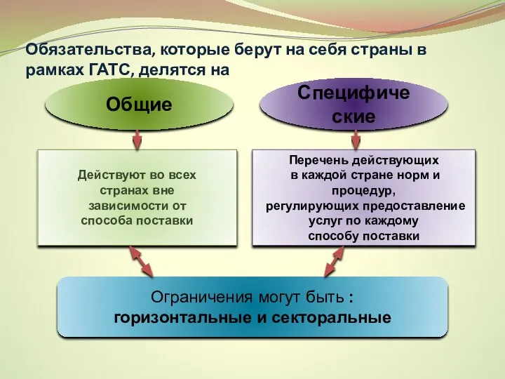 Обязательства, которые берут на себя страны в рамках ГАТС, делятся на