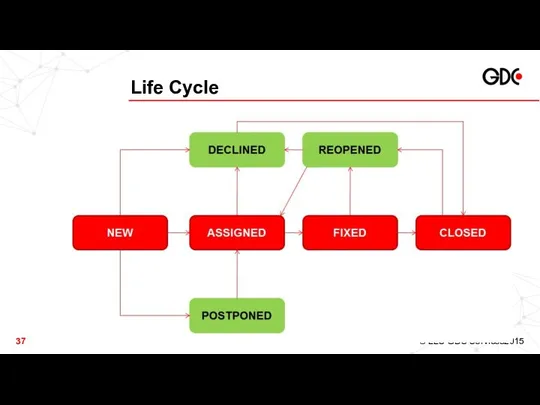 Life Cycle