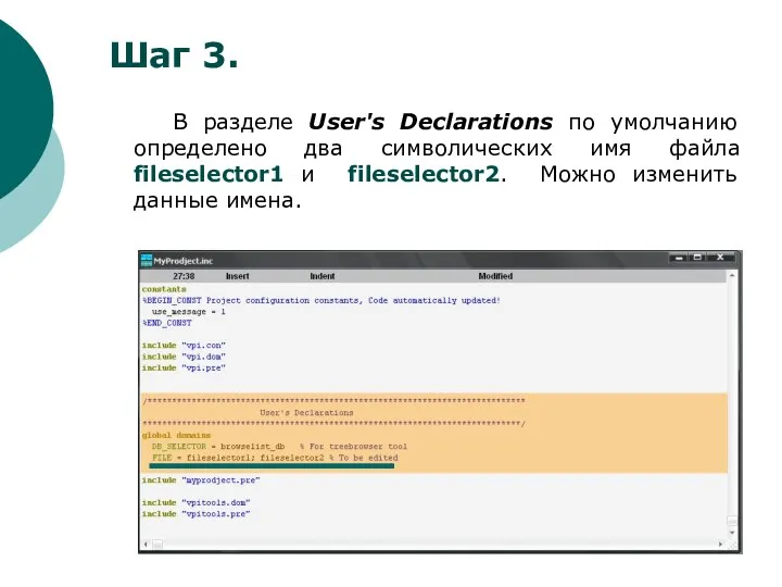 В разделе User's Declarations по умолчанию определено два символических имя файла