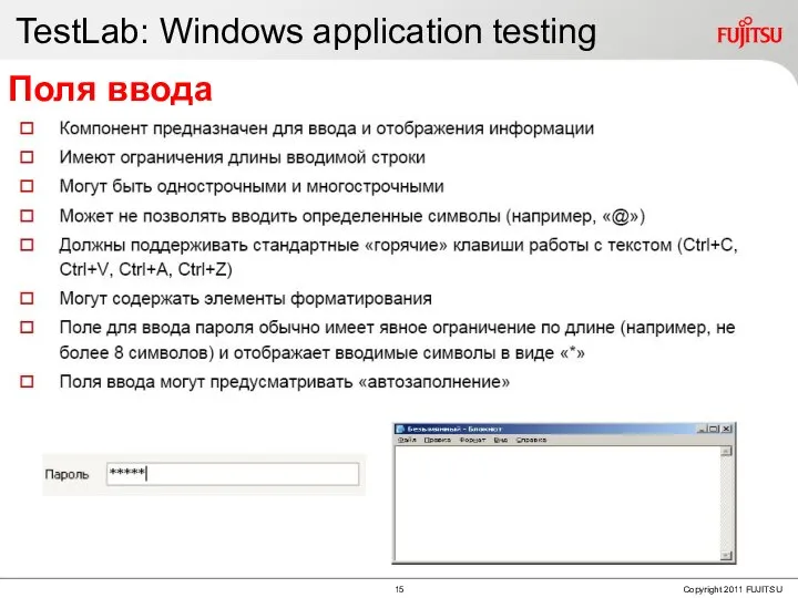 TestLab: Windows application testing Поля ввода