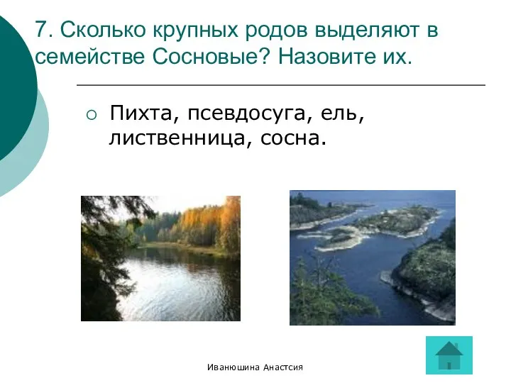 Иванюшина Анастсия 7. Сколько крупных родов выделяют в семействе Сосновые? Назовите