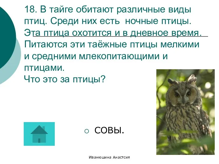 Иванюшина Анастсия 18. В тайге обитают различные виды птиц. Среди них