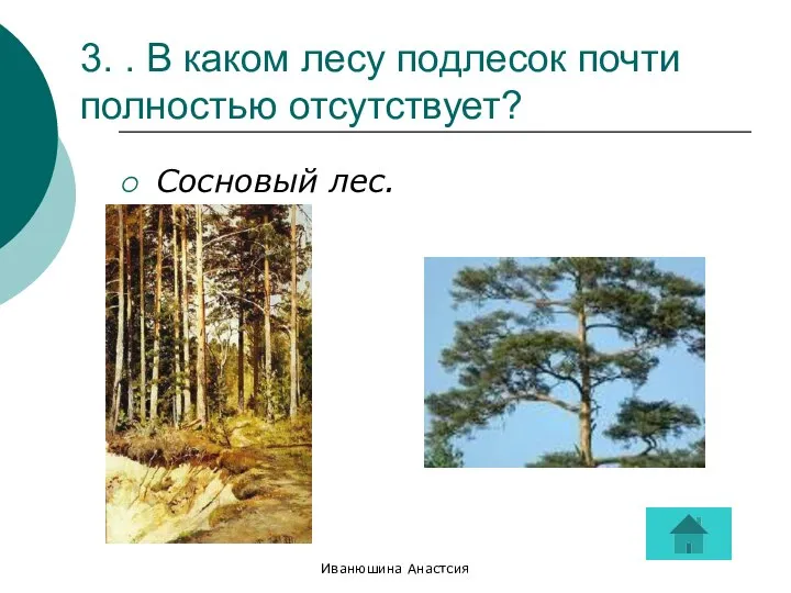 Иванюшина Анастсия 3. . В каком лесу подлесок почти полностью отсутствует? Сосновый лес.