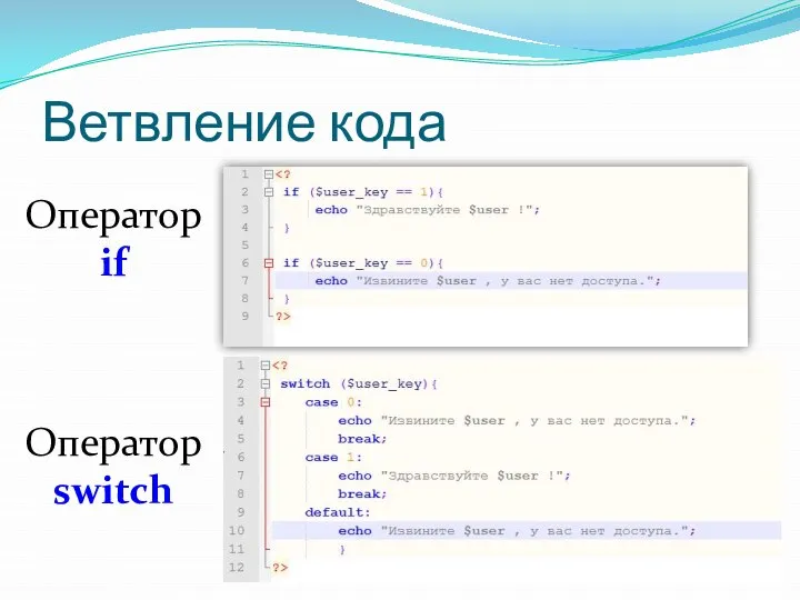 Ветвление кода Оператор switch Оператор if
