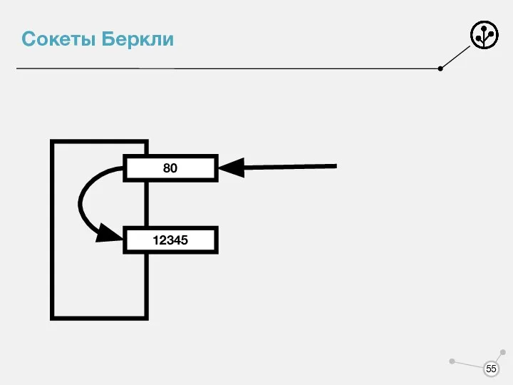 Сокеты Беркли 80 12345