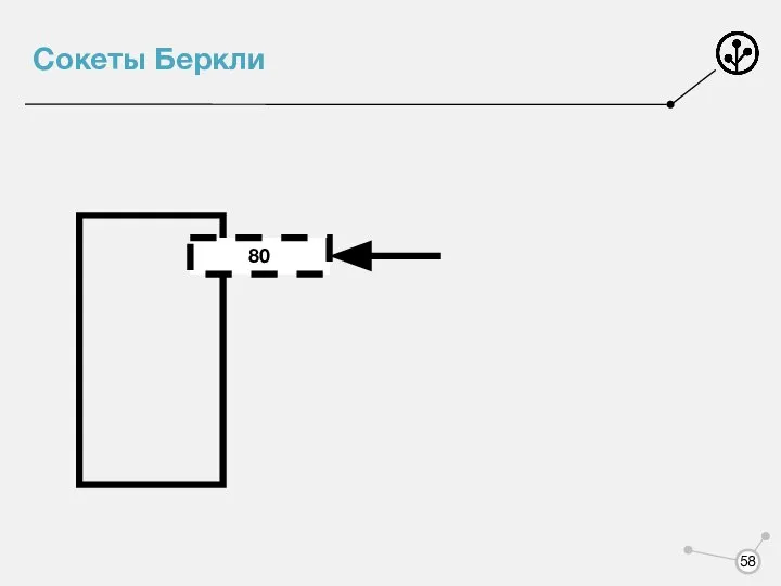 Сокеты Беркли 80