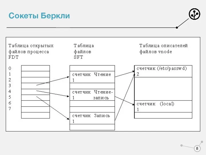 Сокеты Беркли